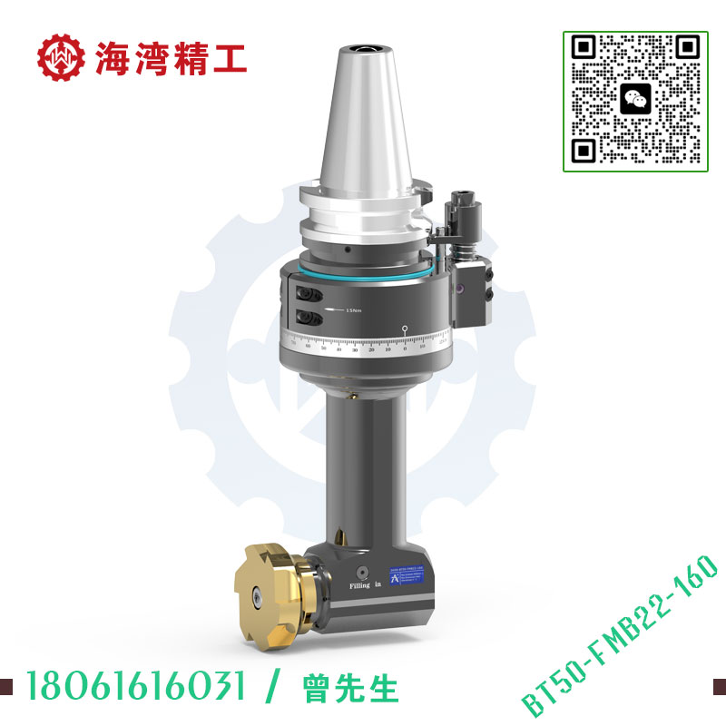 BT50-FMB22-160 副车架角度头