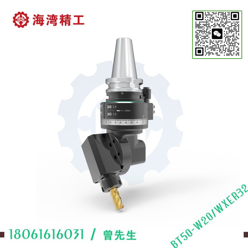 BT50-W20 万向角度头
